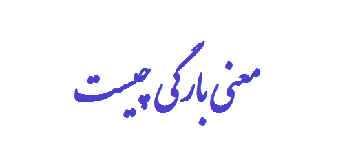 معنی بارگی چیست