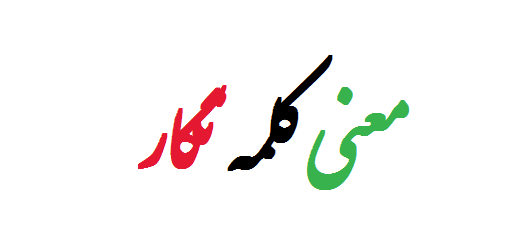 معنی کلمه نگار