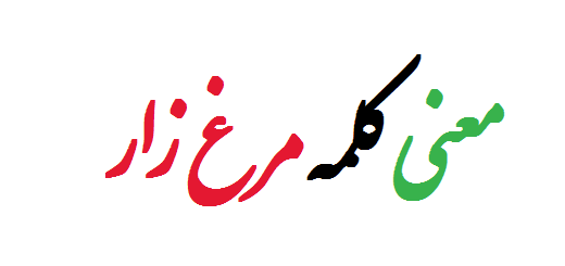 معنی کلمه مرغ زار