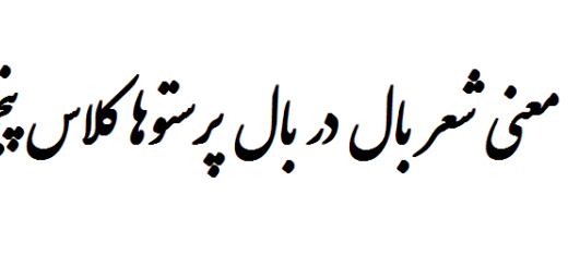 معنی شعر بال در بال پرستوها کلاس پنجم